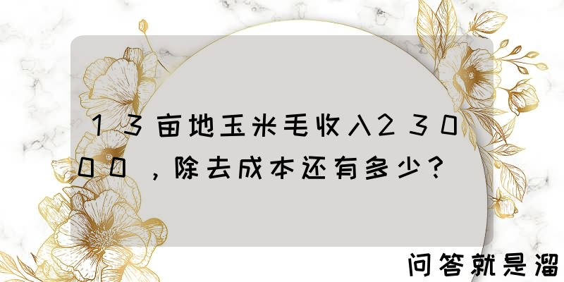 13亩地玉米毛收入23000，除去成本还有多少？