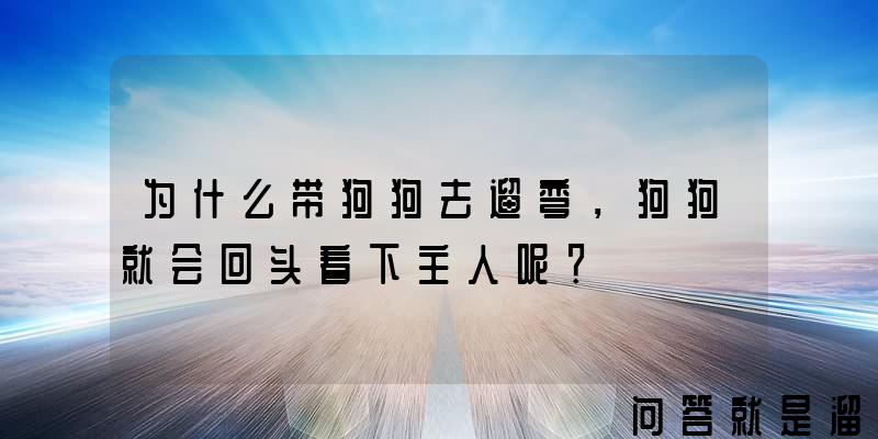 为什么带狗狗去遛弯，狗狗就会回头看下主人呢？