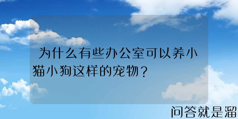 为什么有些办公室可以养小猫小狗这样的宠物？