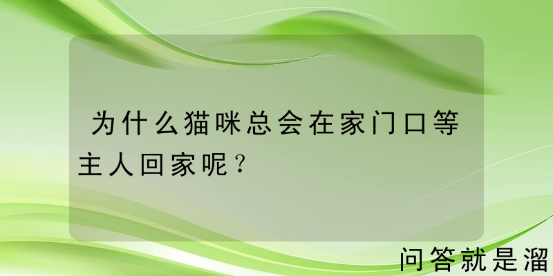 为什么猫咪总会在家门口等主人回家呢？