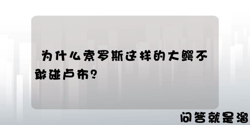 为什么索罗斯这样的大鳄不敢碰卢布？