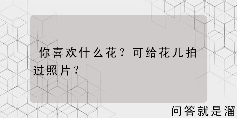 你喜欢什么花？可给花儿拍过照片？