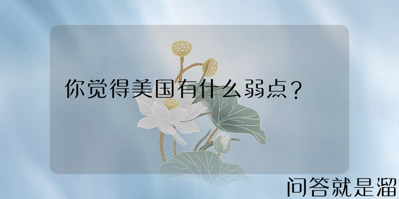 你觉得美国有什么弱点？