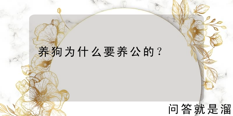 养狗为什么要养公的？