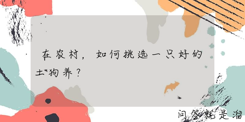 在农村，如何挑选一只好的土狗养？