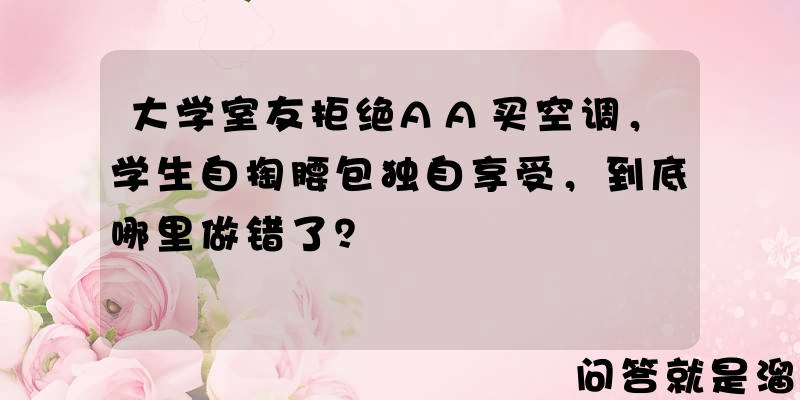 大学室友拒绝AA买空调，学生自掏腰包独自享受，到底哪里做错了？