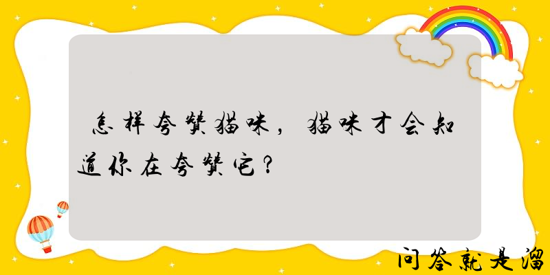 怎样夸赞猫咪，猫咪才会知道你在夸赞它？