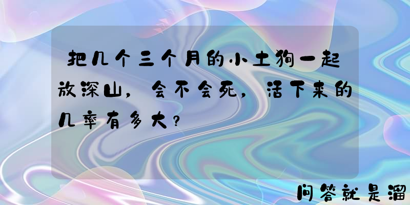 把几个三个月的小土狗一起放深山，会不会死，活下来的几率有多大？