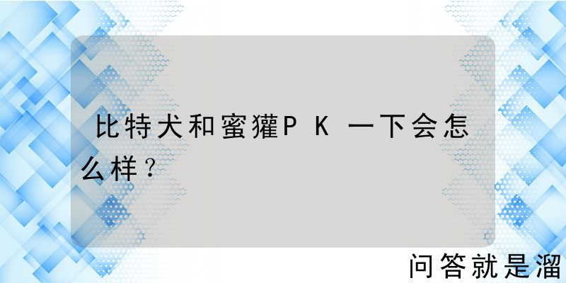 比特犬和蜜獾PK一下会怎么样？