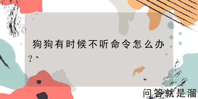 狗狗有时候不听命令怎么办？