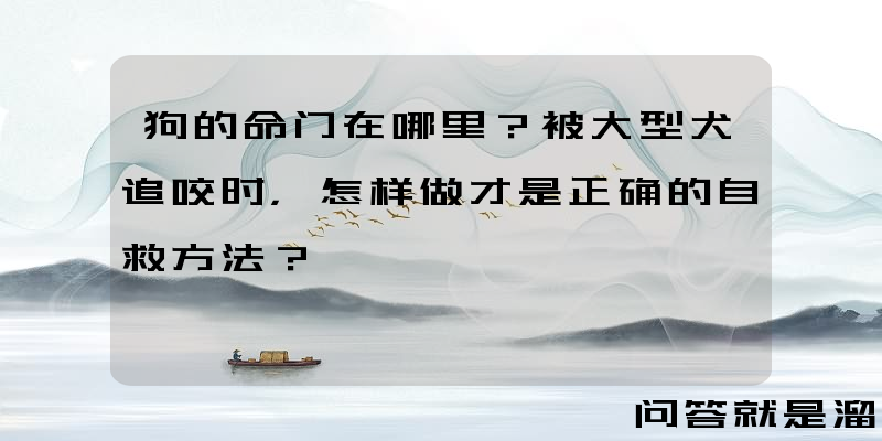 狗的命门在哪里？被大型犬追咬时，怎样做才是正确的自救方法？