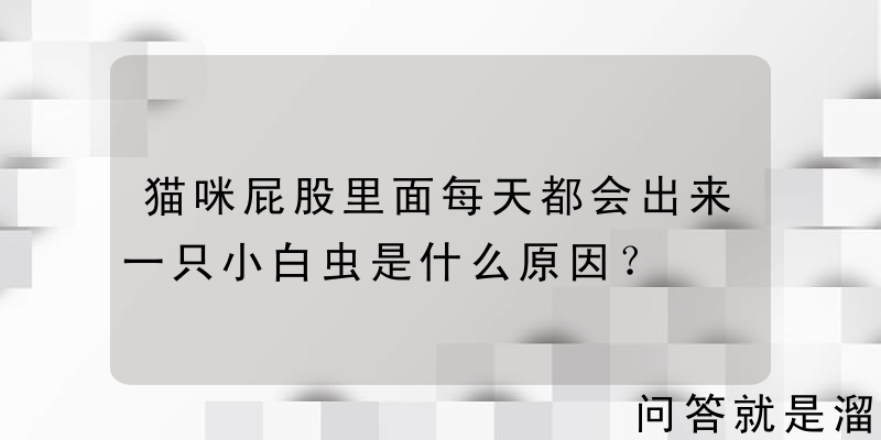 猫咪屁股里面每天都会出来一只小白虫是什么原因？