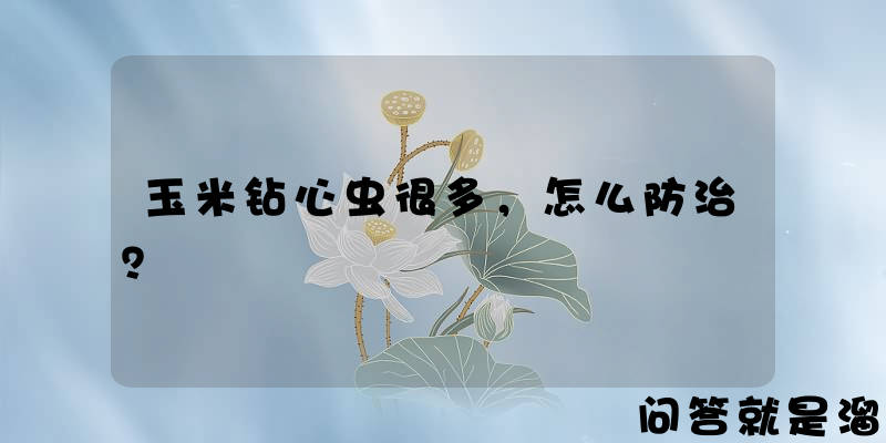 玉米钻心虫很多，怎么防治？