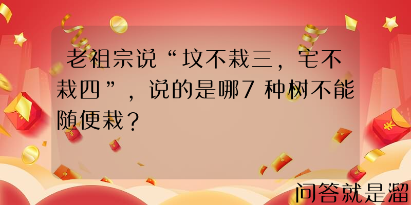 老祖宗说“坟不栽三，宅不栽四”，说的是哪7种树不能随便栽？